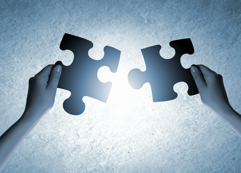 Sintra – Da clienti a partner commerciali