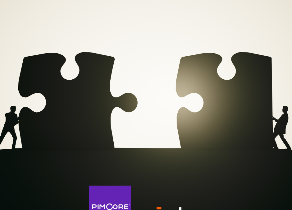 Pimcore, partner ideale per digitalizzare i processi di vendita